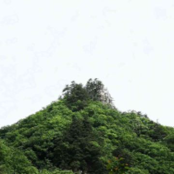 評論圖片 9
