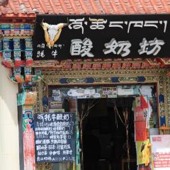 前站牦牛酸奶坊 User Photo