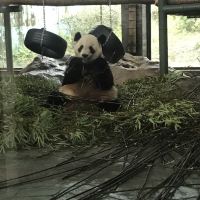 評論圖片 3