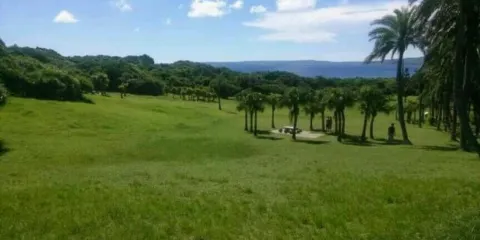 優諾滋YUNORSI(新村店)