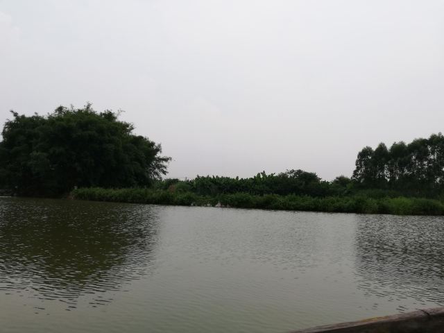 White Pagoda Park