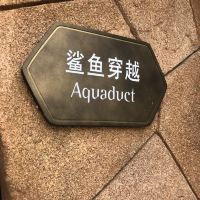 評論圖片 9
