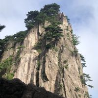 評論圖片 3