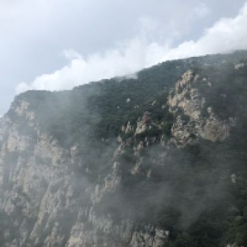 評論圖片 1