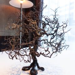 Edition Koji Shimomura User Photo