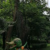 評論圖片 2
