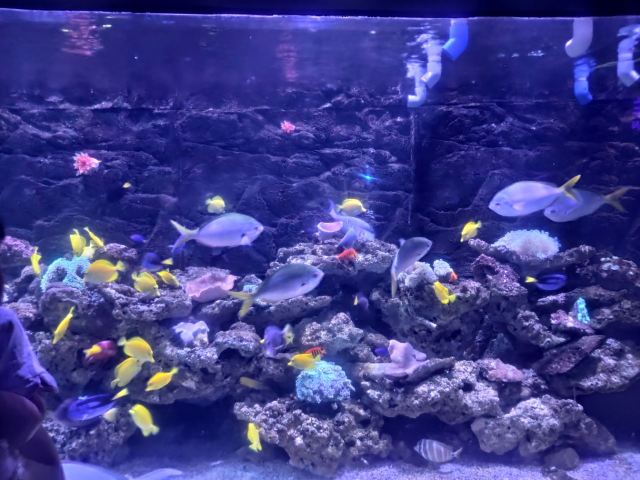 正佳極地海洋世界