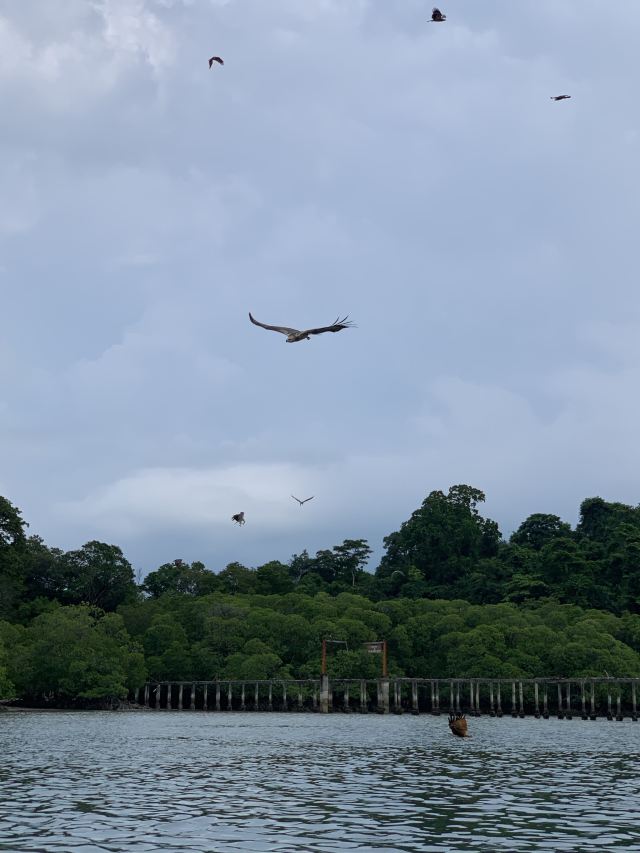 Pulau Singa Besar