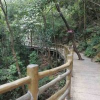評論圖片 4