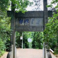 評論圖片 6