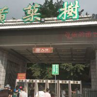 評論圖片 1