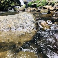 評論圖片 1