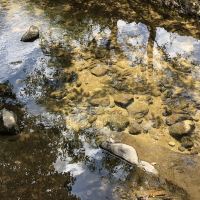 評論圖片 1