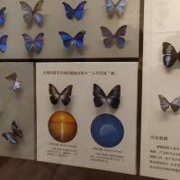 評論圖片 3