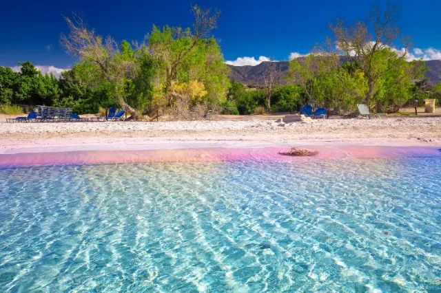 10 Rare and Beautiful Pink Sand Beaches around the World