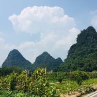 評論圖片 2