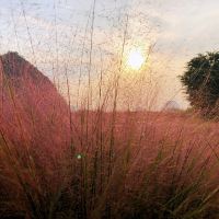 評論圖片 6