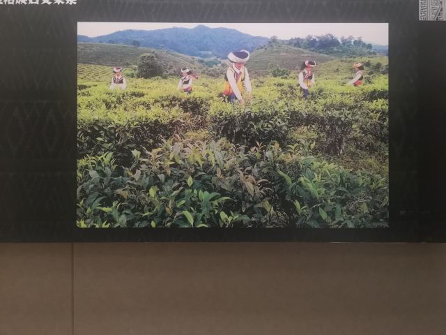 西雙版納民族博物館