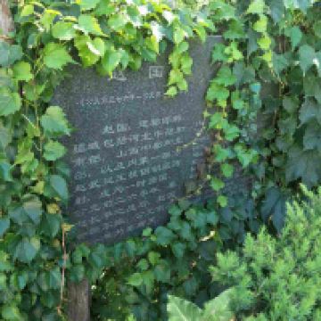 評論圖片 1