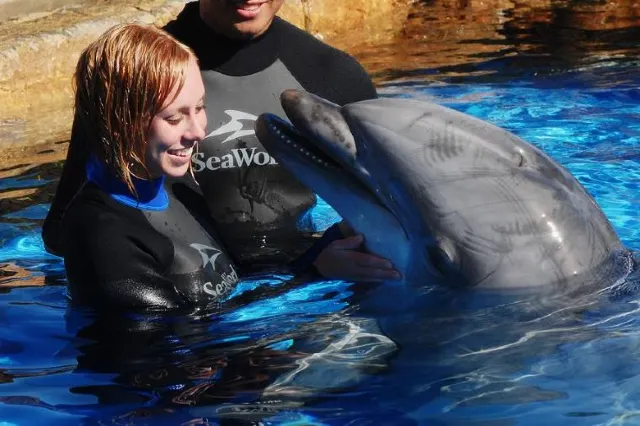 A Guide to Help Ace a SeaWorld San Diego Visit