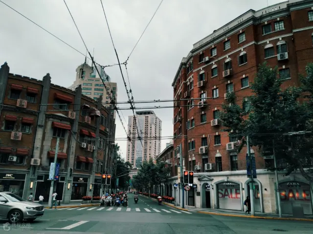 Go and Check Shanghai Modern Skyline with Bird's Eye View