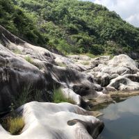 評論圖片 5