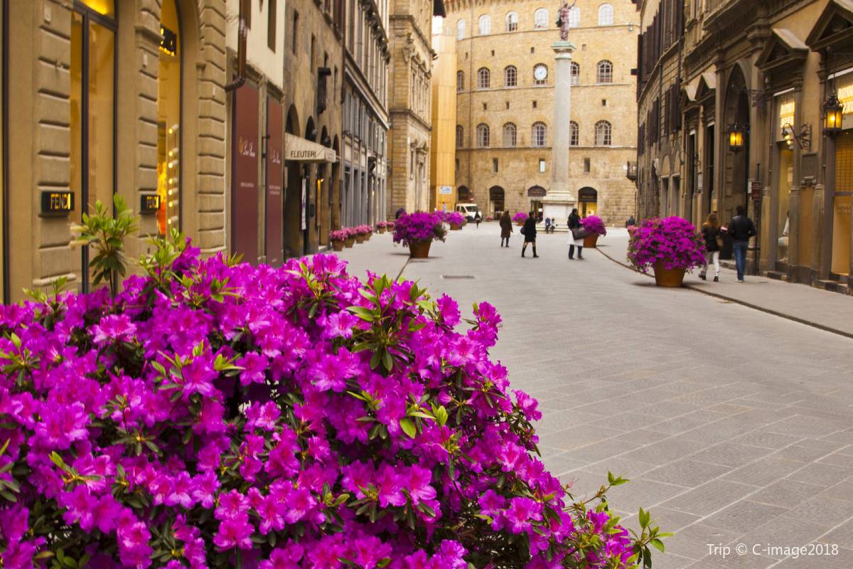 Tornabuoni