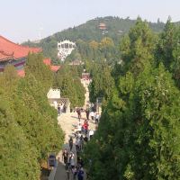 評論圖片 4