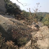 評論圖片 7