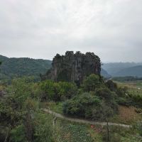 評論圖片 3