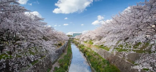 10 Best Things To Do In Nagoya