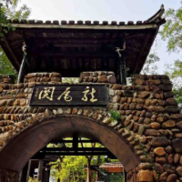 評論圖片 5