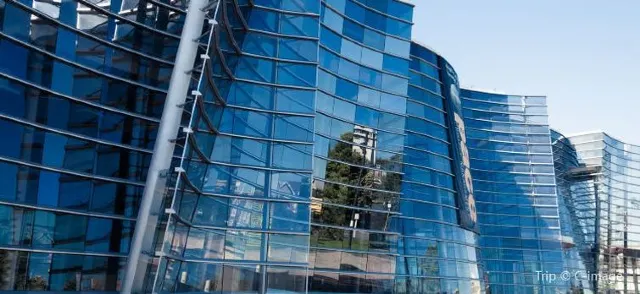 8 Cool Things to Do in Christchurch