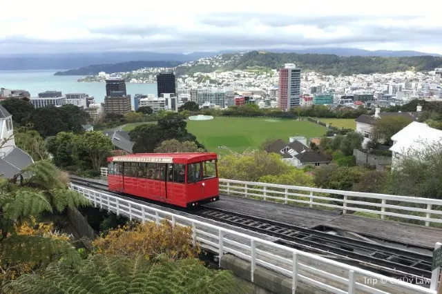 10 Most Family-Friendly Attractions in Wellington New Zealand