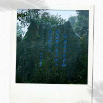 評論圖片 2