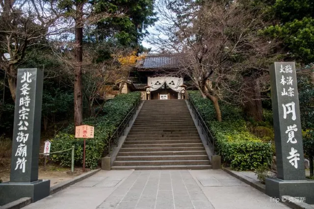 9 Amazing Things to Do in Kamakura (And Places to See!)