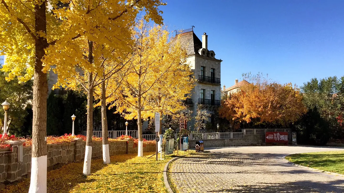 2_Beijing Chateau Changyu Afip Global