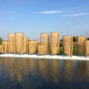 月津港親水公園