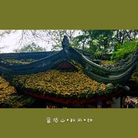 評論圖片 1