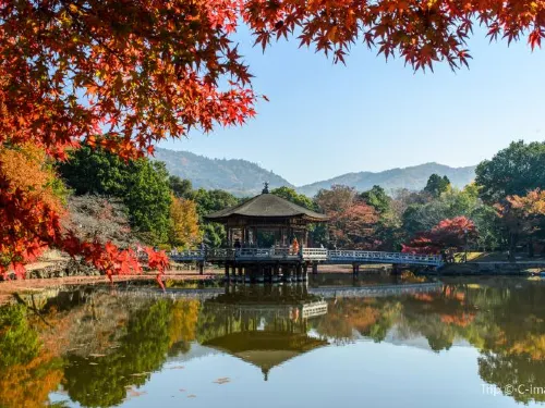 Deer and Temples: Top 10 Things to do in Nara