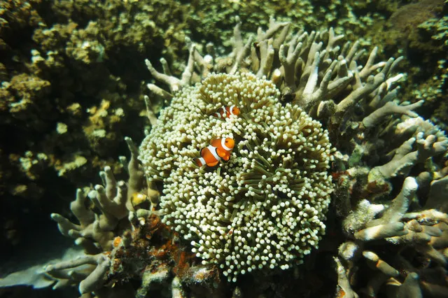 11 Things to do in Coron, Philippines