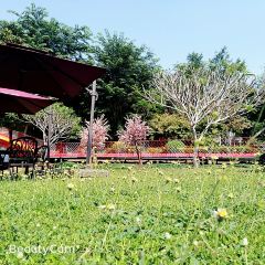 海南八一石花水洞地质公园 User Photo