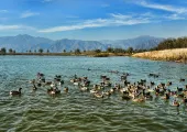 Close to Nature, The Best Scenic Areas Around Beijing for Families with Children