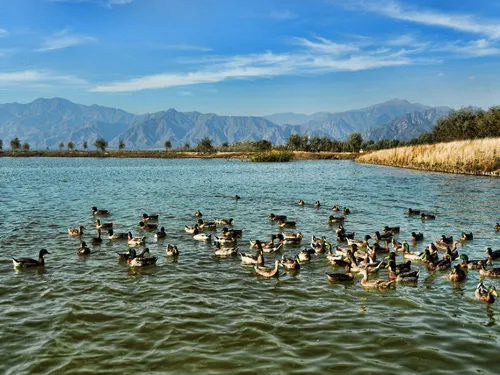 Close to Nature, The Best Scenic Areas Around Beijing for Families with Children