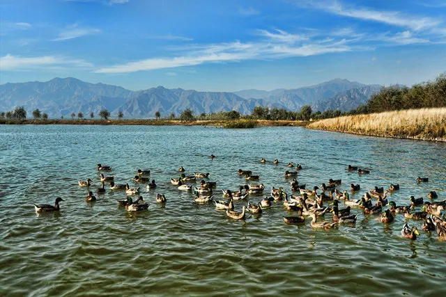 Close to Nature, The Best Scenic Areas Around Beijing for Families with Children