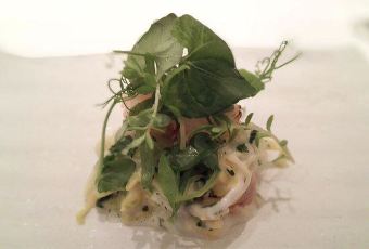 Quintessence用戶圖片