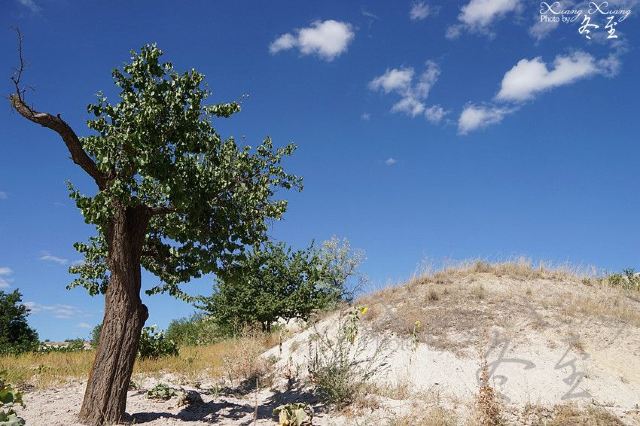Rose Valley