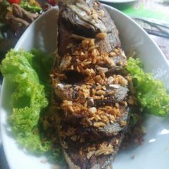 Natural Restaurant User Photo