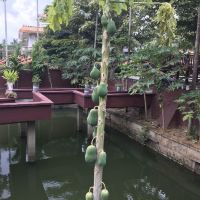 評論圖片 3