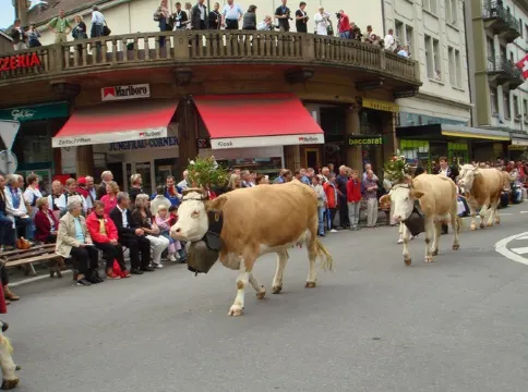 10 Must Do Things in Interlaken